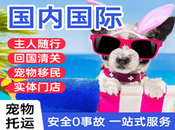 五台山航空快运国际宠物托运 【国